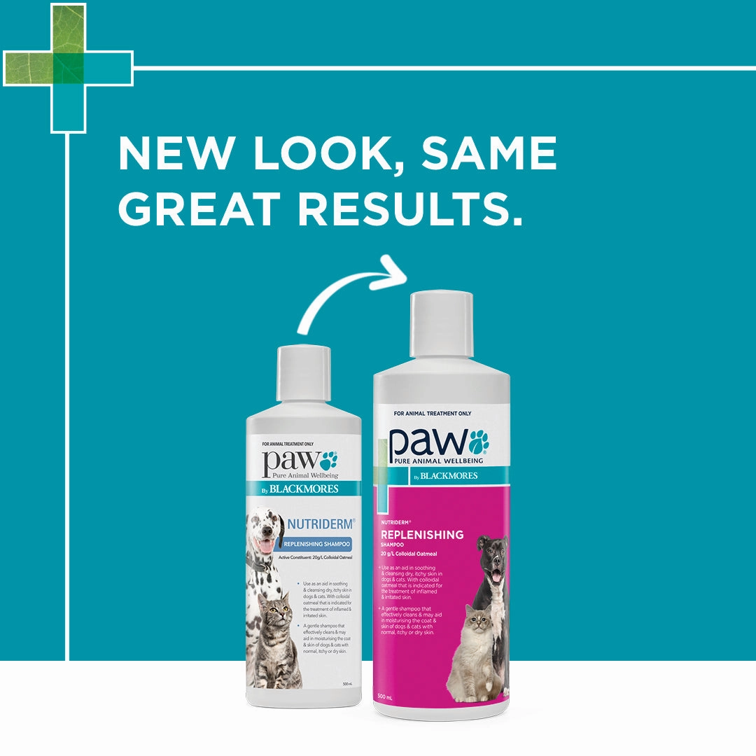 PAW - NutriDerm Replenishing Shampoo for Dogs and Cats (500ml)