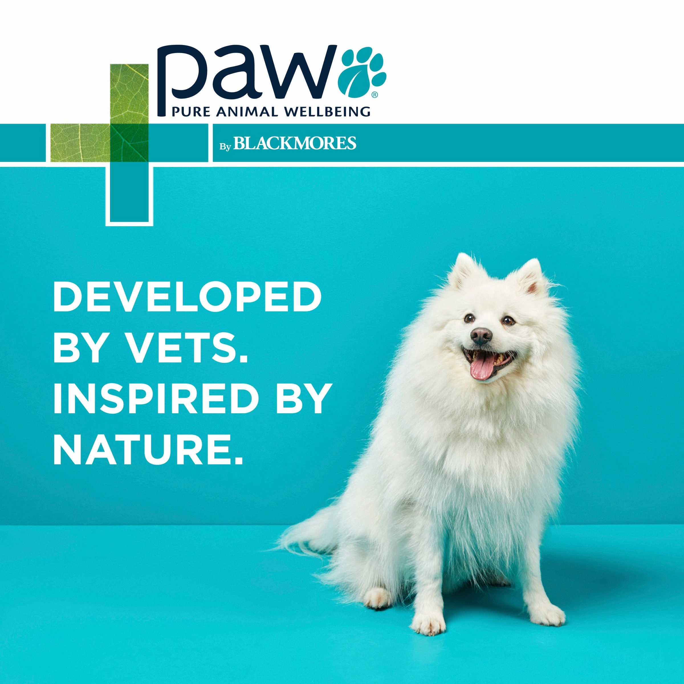 PAW - NutriDerm Replenishing Shampoo for Dogs and Cats (500ml)