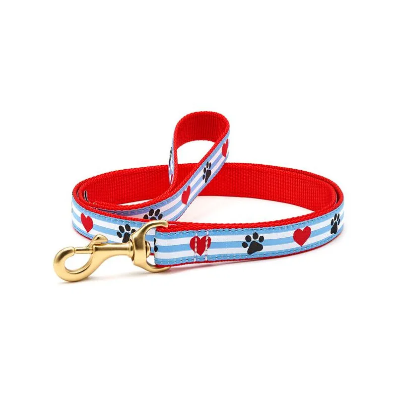 Pawprint Stripe Collar