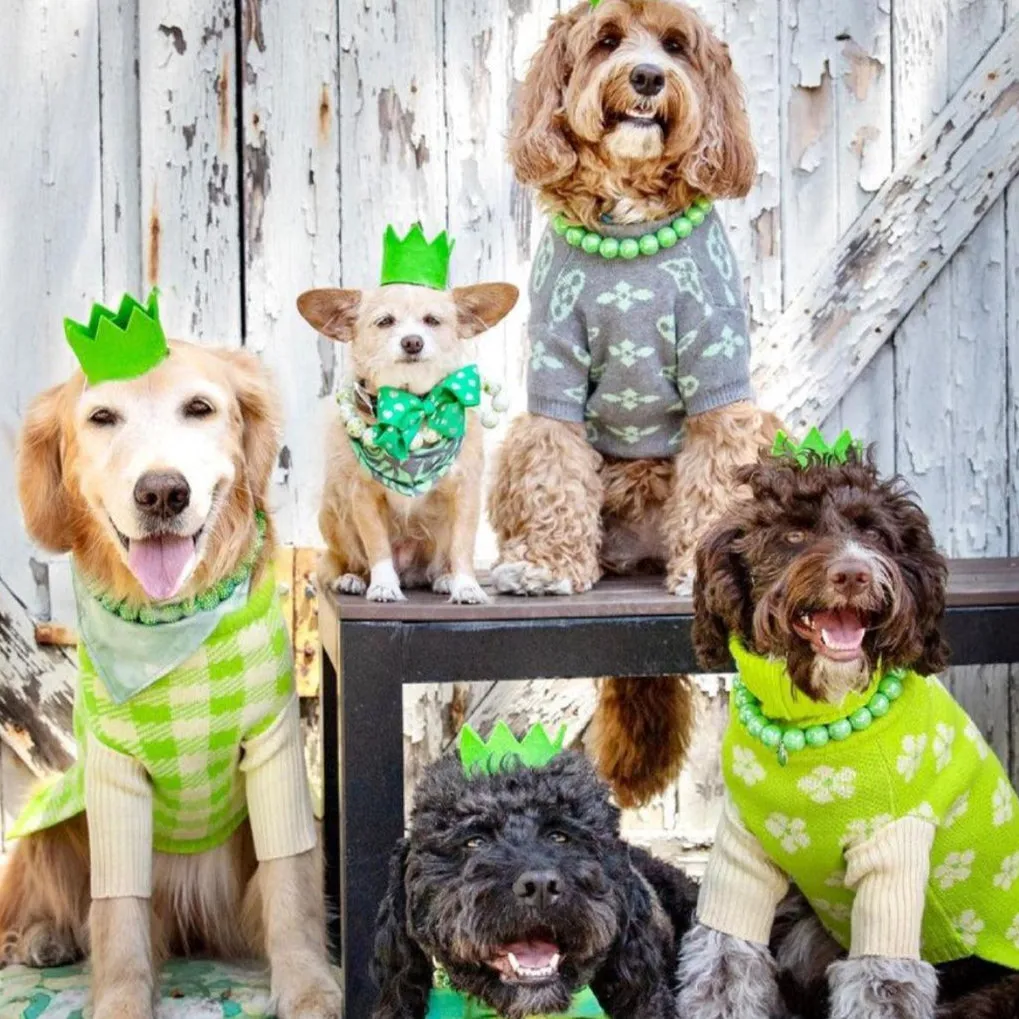 Pawty Dog Crown Brights