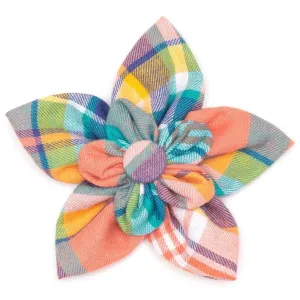 Peach Multi Plaid Dog Collar Flower