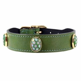 Peacock Collection Dog Collar Lime Green
