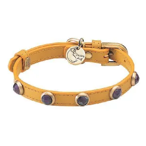 Pebbies Amethyst Dog Collar
