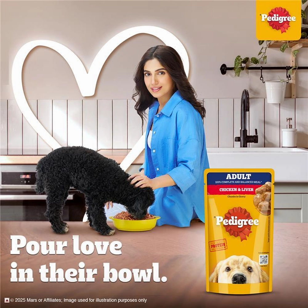 Pedigree Chicken and Liver Chunks in Gravy Adult Dog Wet Food (130g)