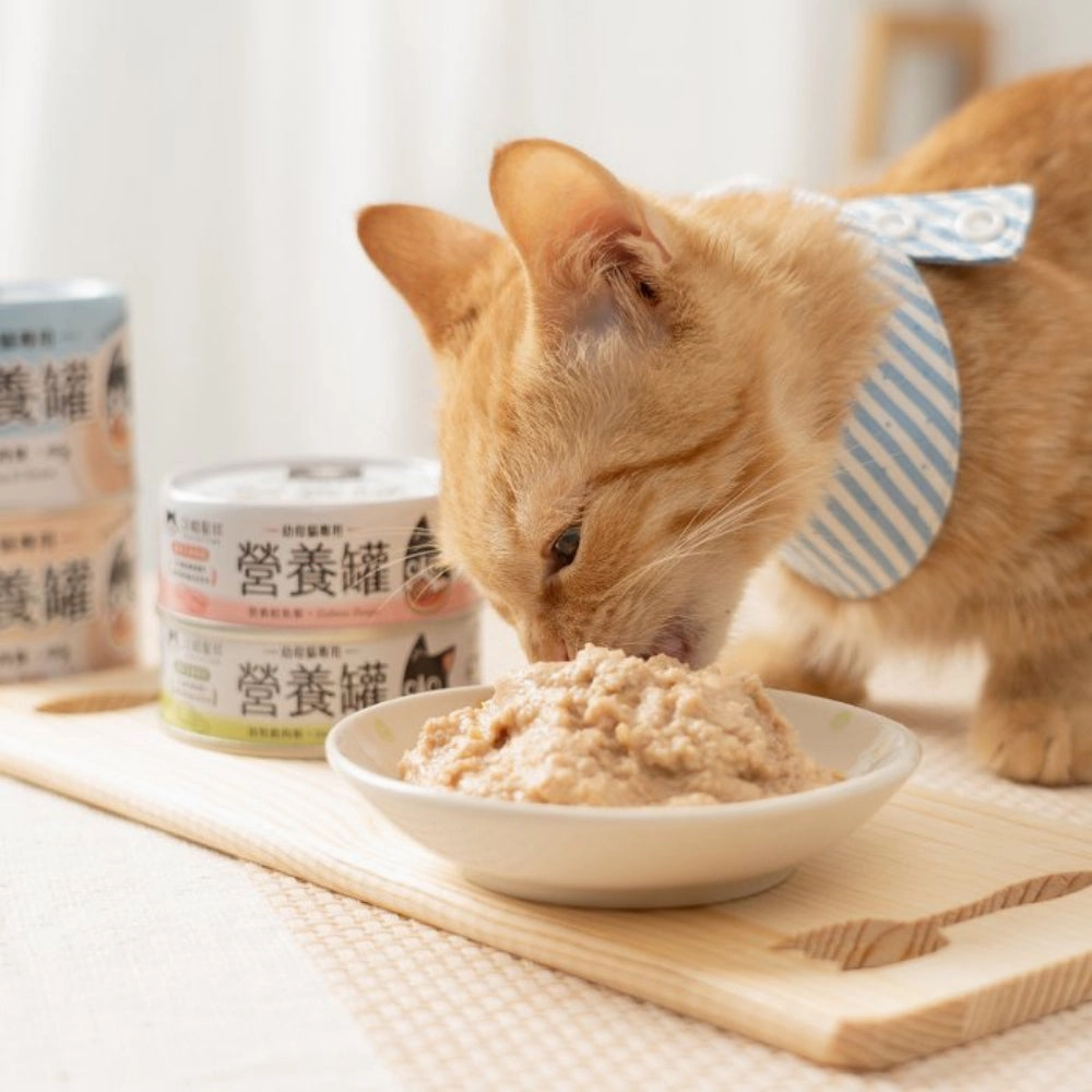Perch and Chicken Complete Balanced Kitten Cat Can