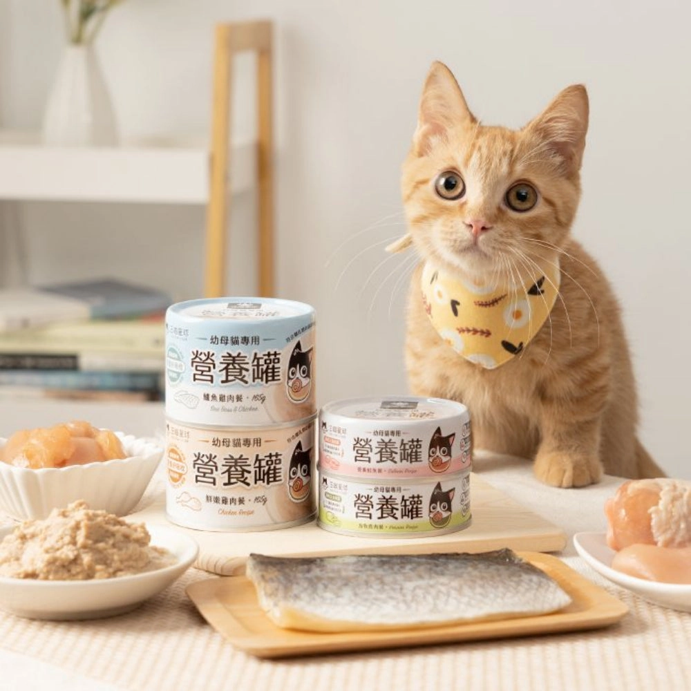 Perch and Chicken Complete Balanced Kitten Cat Can