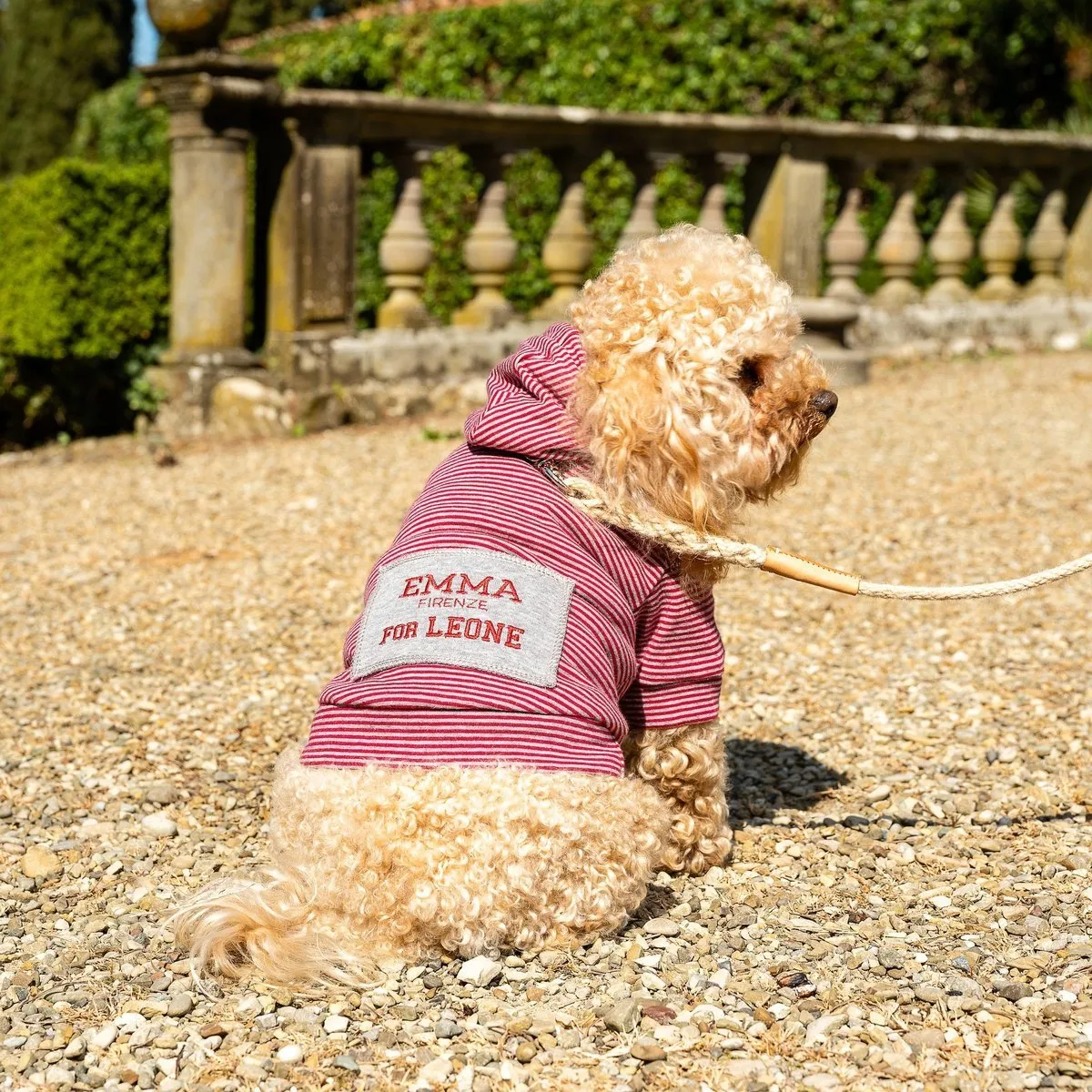 Personalized Red Running Dog Sweatshirt