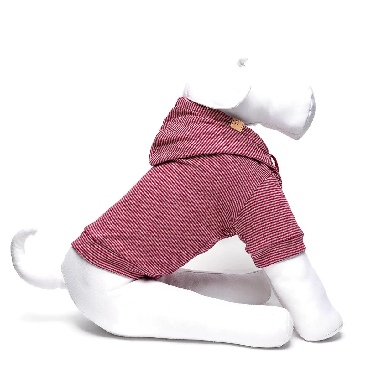 Personalized Red Running Dog Sweatshirt
