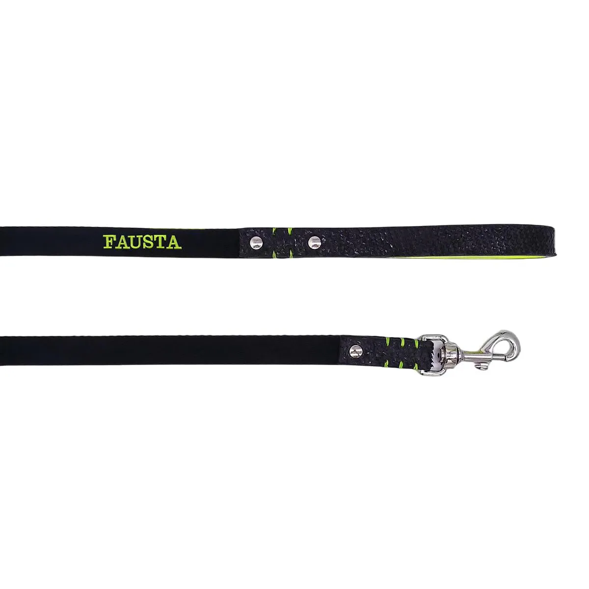 Personalized Scale & Fluo Dog Leash