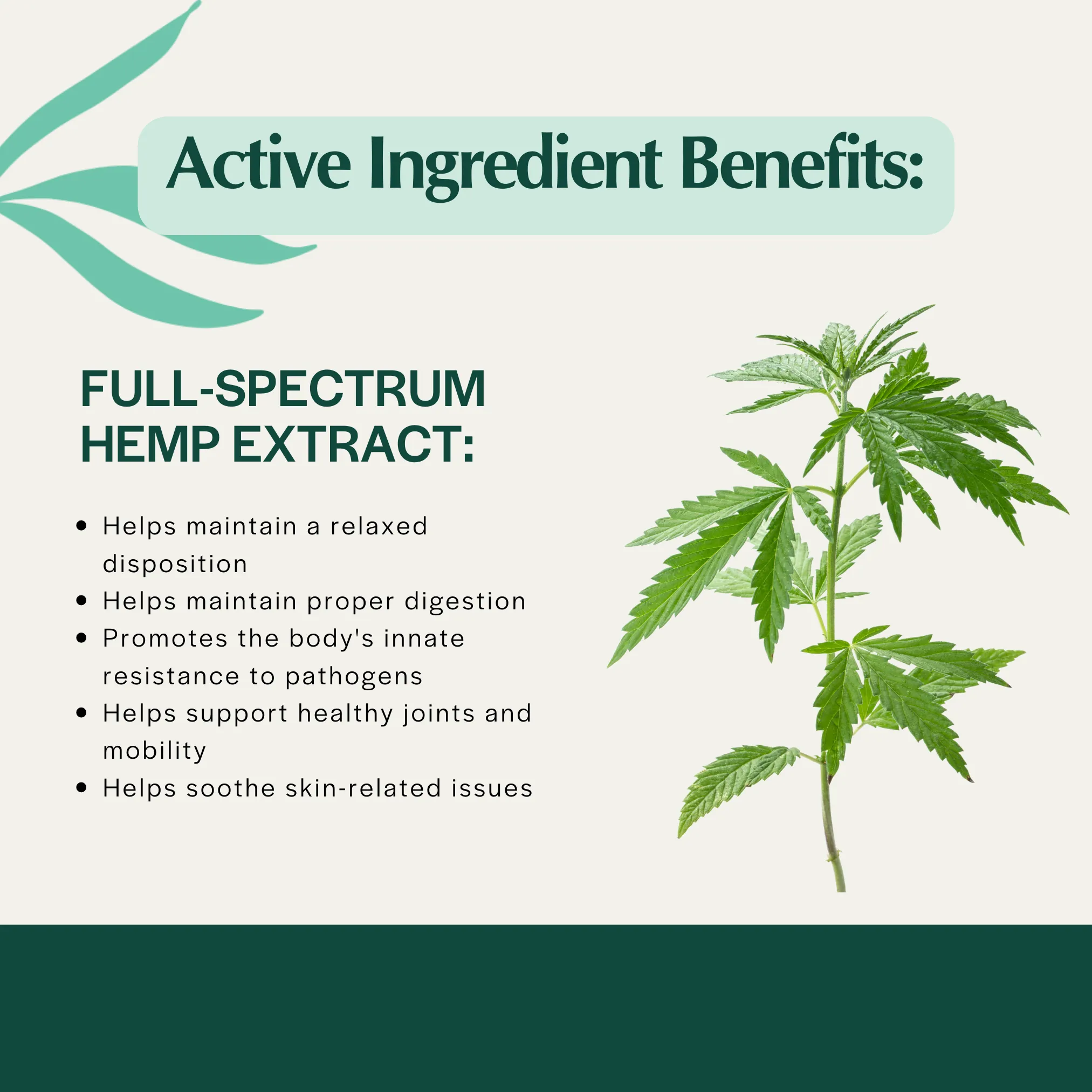 Pet Releaf Daily Releaf 500mg Hemp Oil for Large Dogs