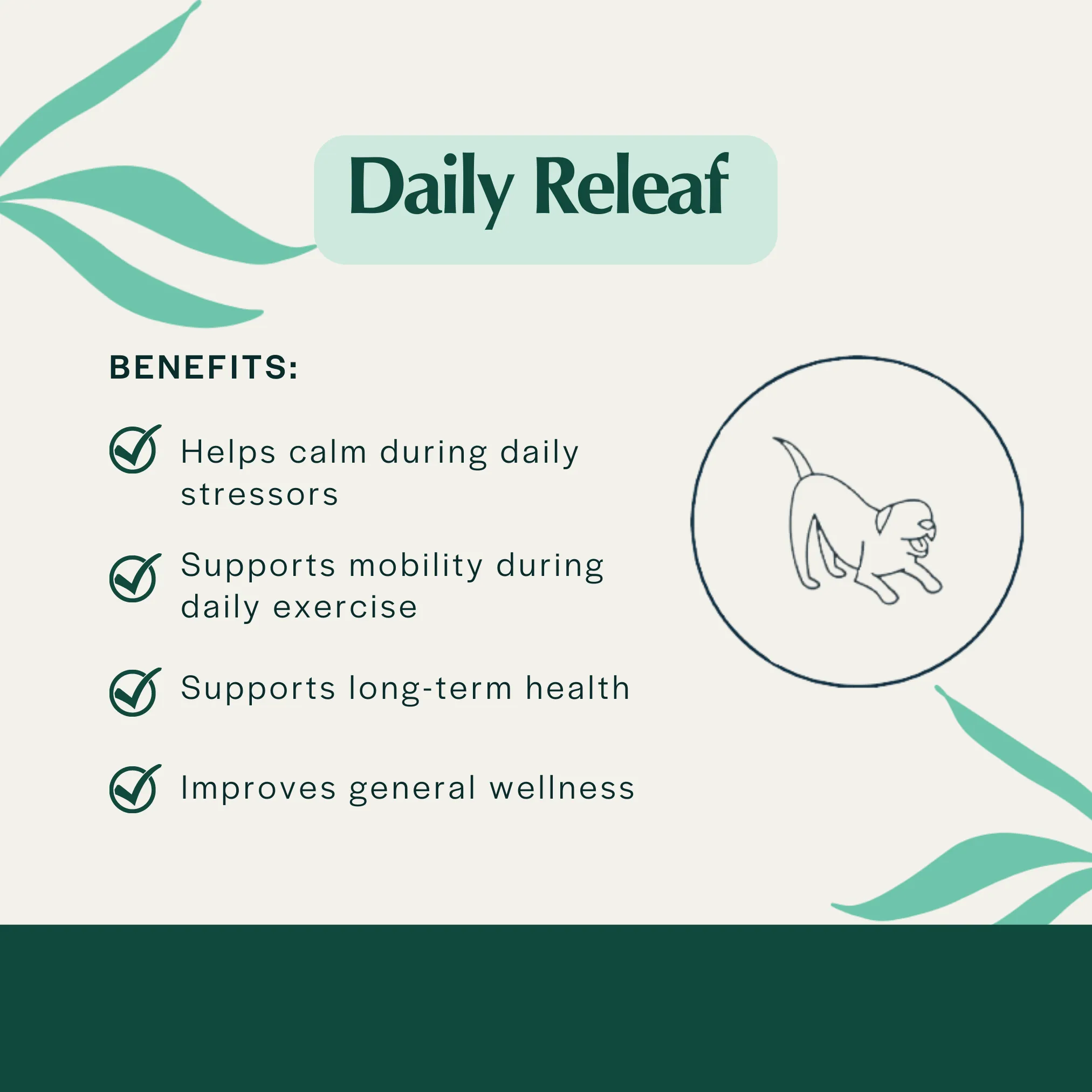 Pet Releaf Daily Releaf 500mg Hemp Oil for Large Dogs