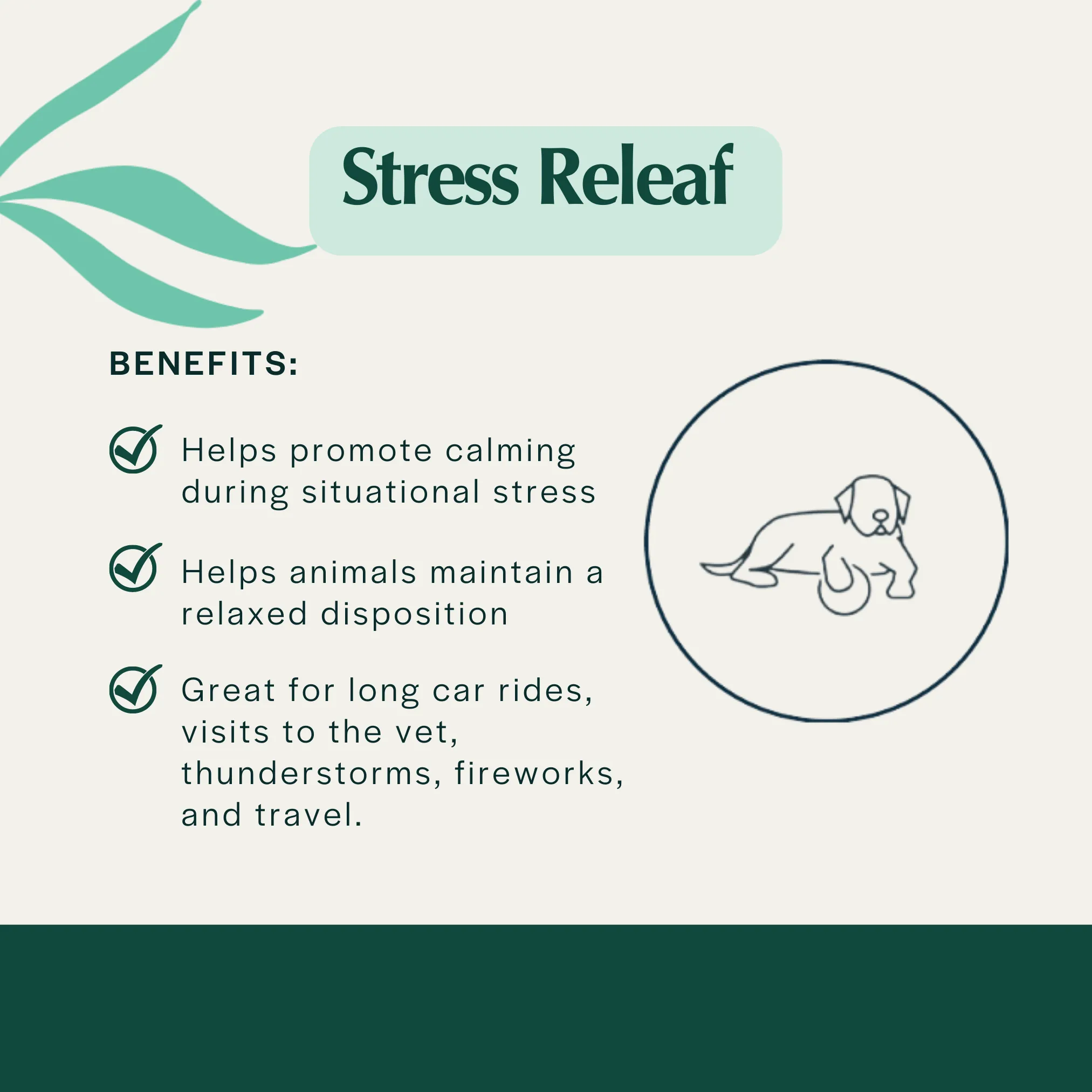 Pet Releaf Stress Releaf Travel Size Edibites Peppered Bacon Flavor for Dogs