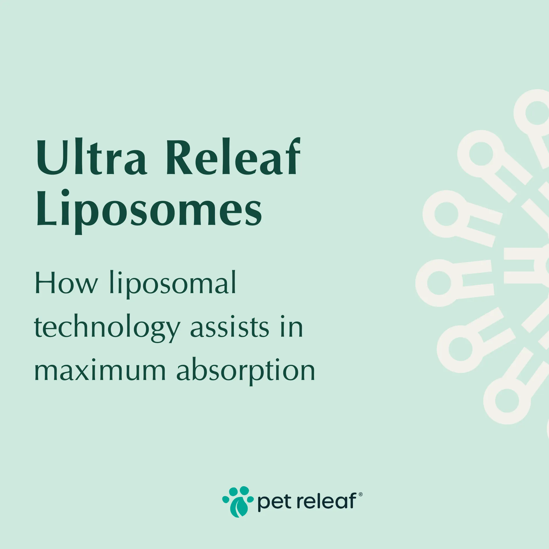 Pet Releaf Ultra Releaf Hemp Oil 300 For Medium & Large Dogs