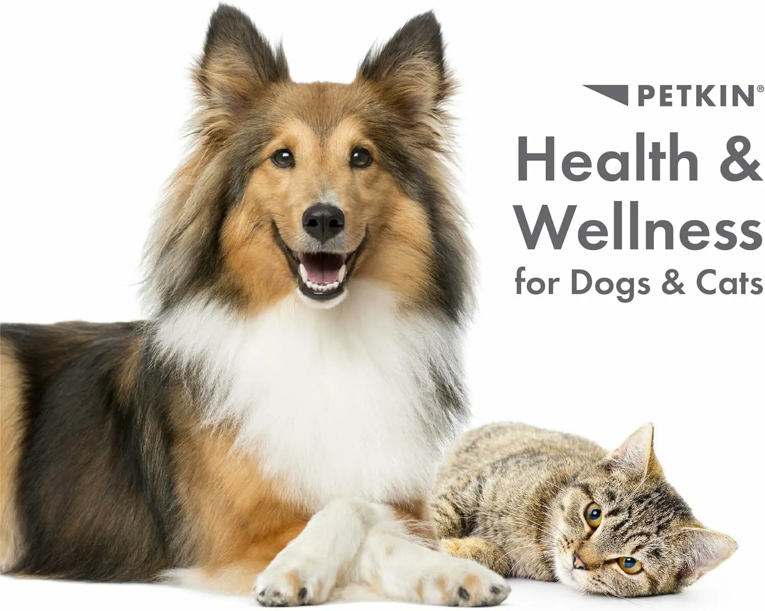 Petkin - Fingertip Eye Wipes (for Dogs and Cats) 50's