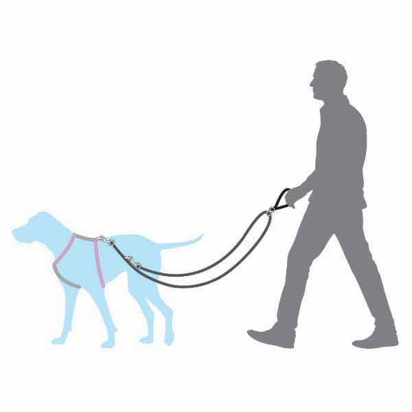 PetSafe Anti-Pull Dog Lead