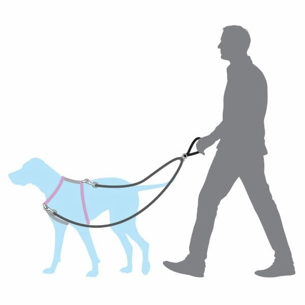 PetSafe Anti-Pull Dog Lead