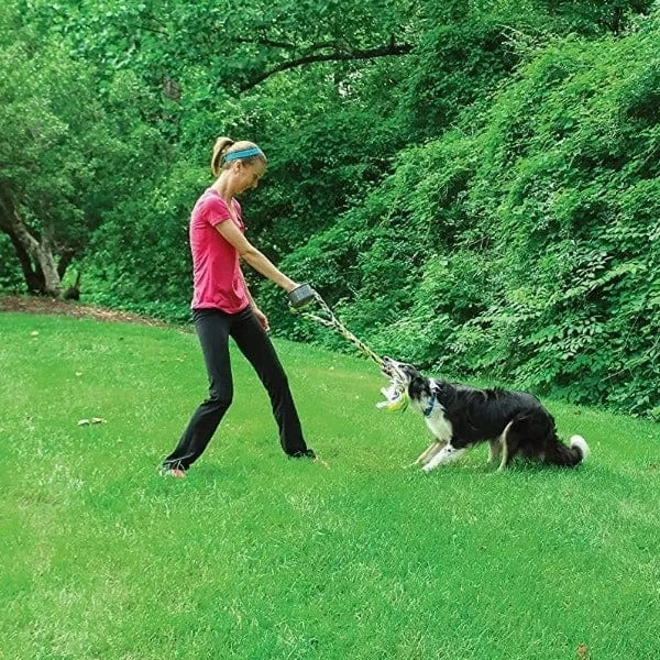 PetSafe Grip 'n' Tug Dog Toy