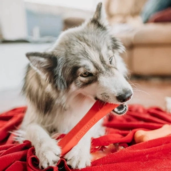 Playology Squeaky Chew Stick