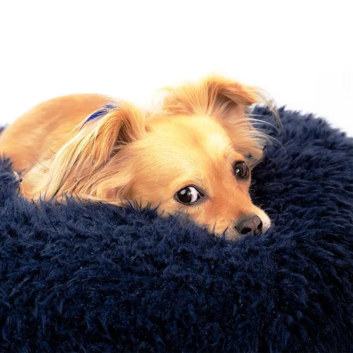 Pod Dog Bed