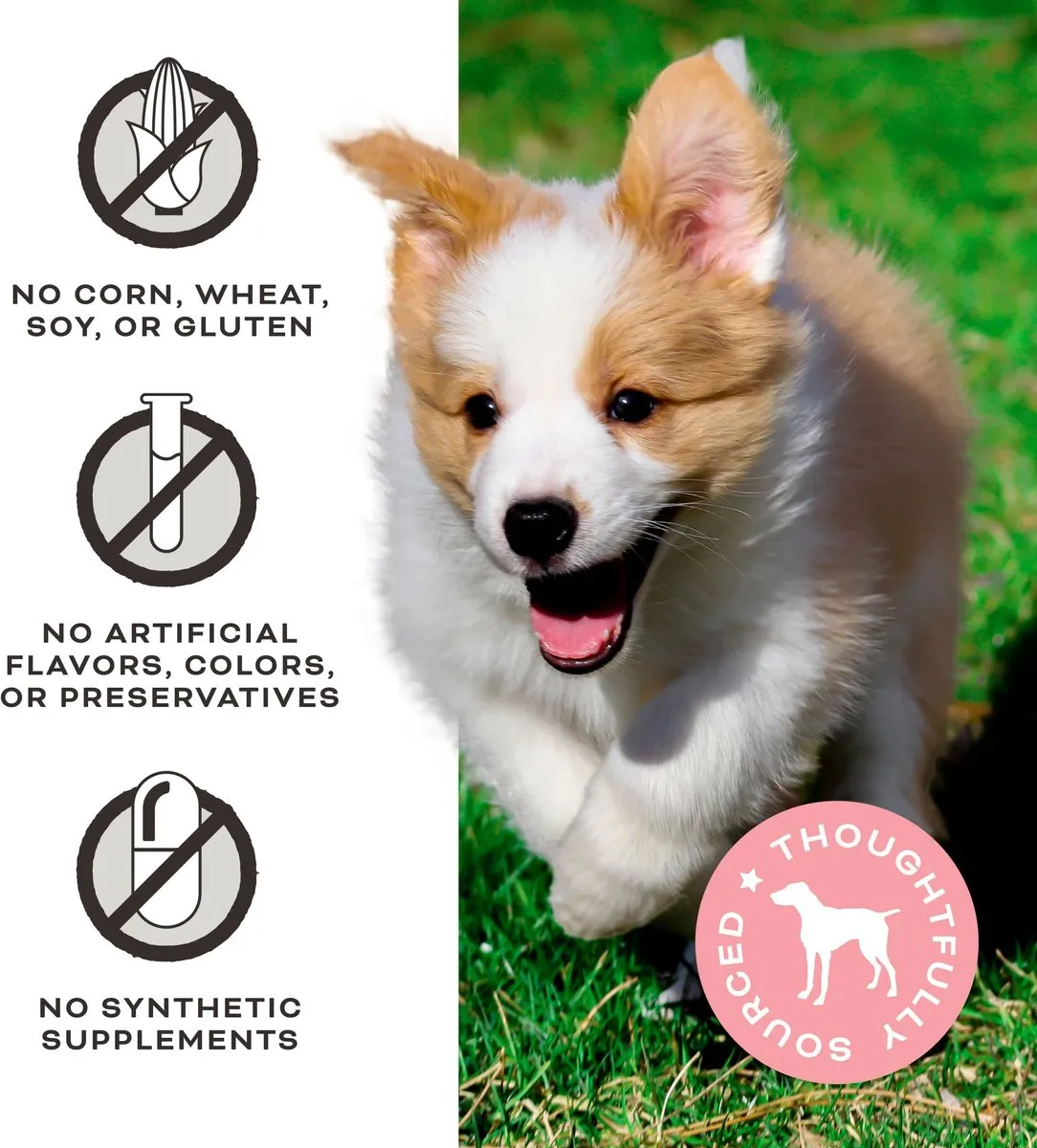 Primal Let's All Get A Lung Lamb Recipe Treats for Dogs