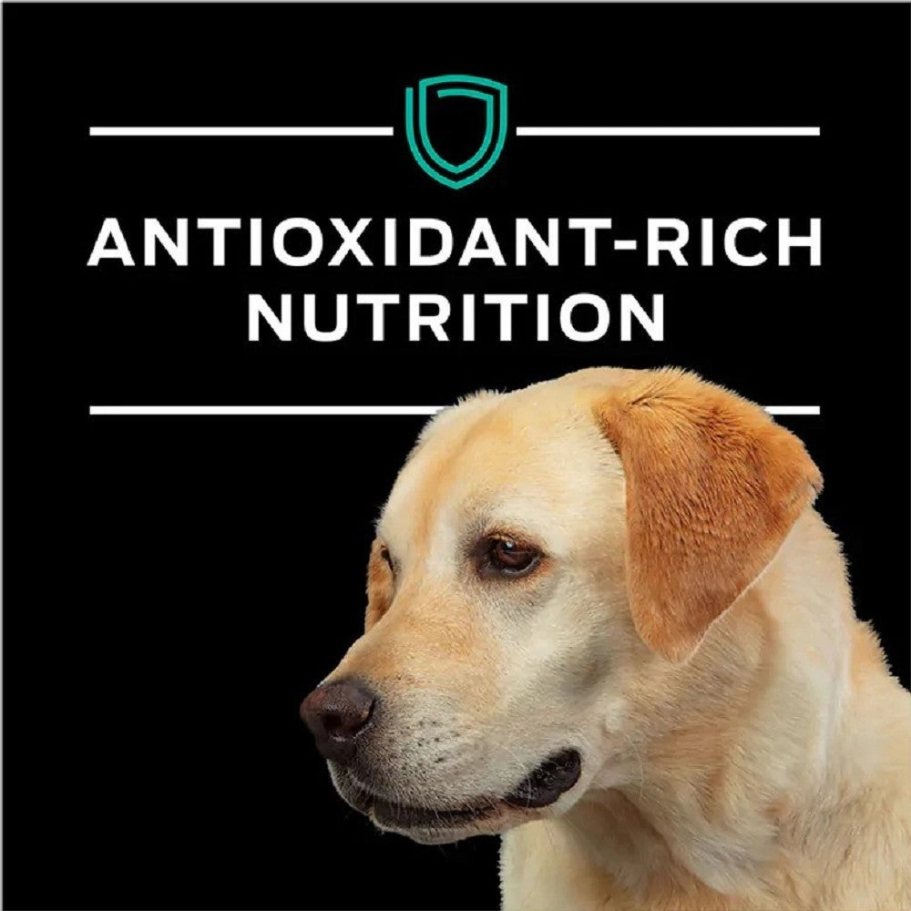 Pro Plan Veterinary Diets - EN Gastroenteric Naturals Dog Dry Food