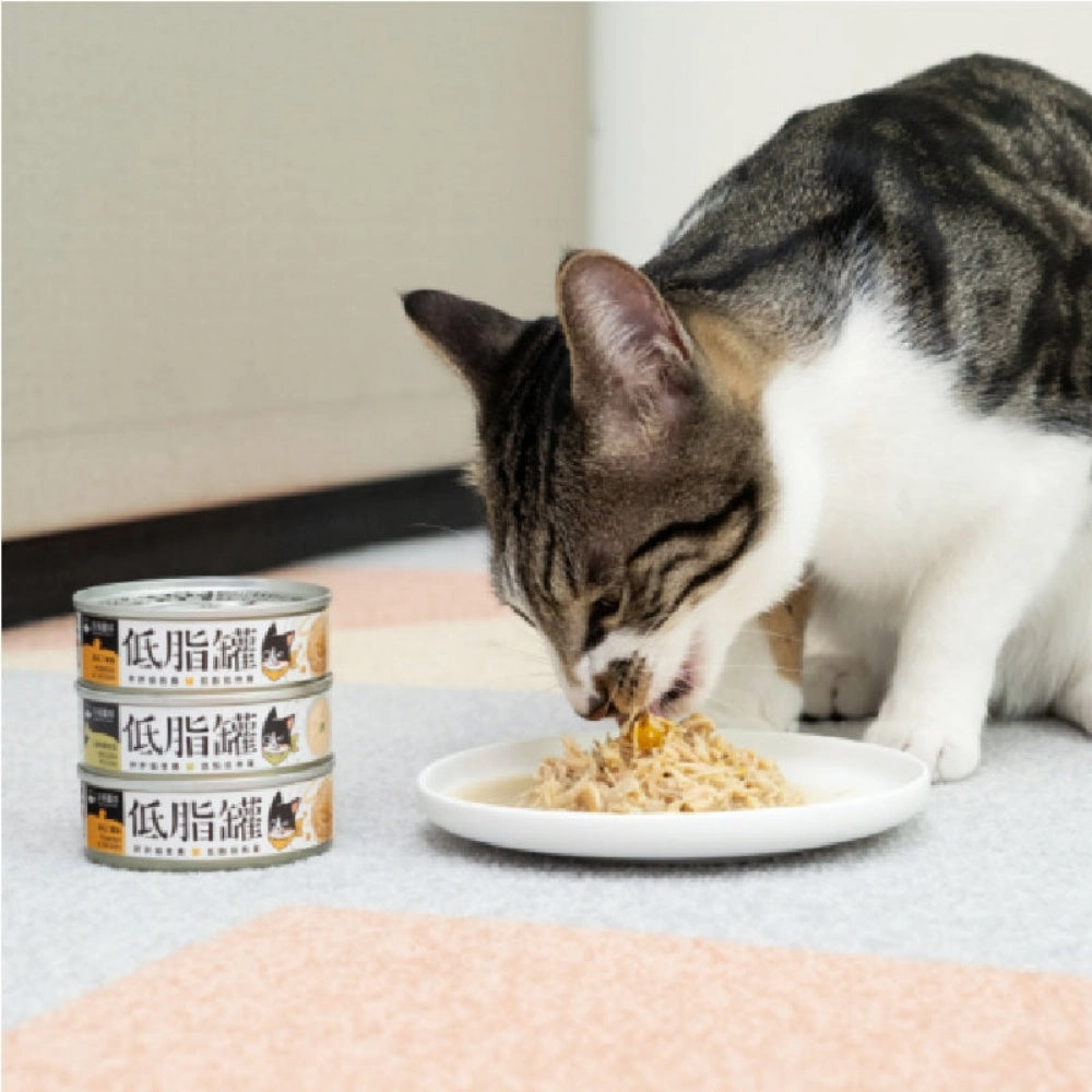 Pumpkin & Chicken Complete Balanced Cat Can