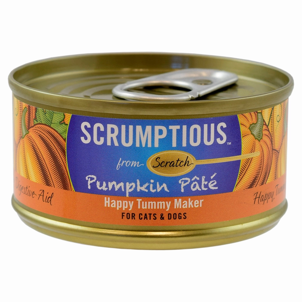 Pumpkin Pat