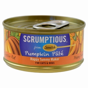 Pumpkin Pat