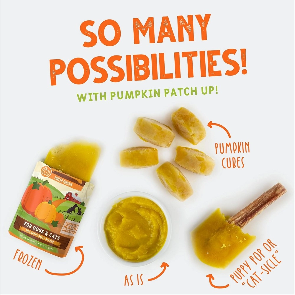 Pumpkin with Coconut Oil & Flaxseeds Dogs & Cats Pouch