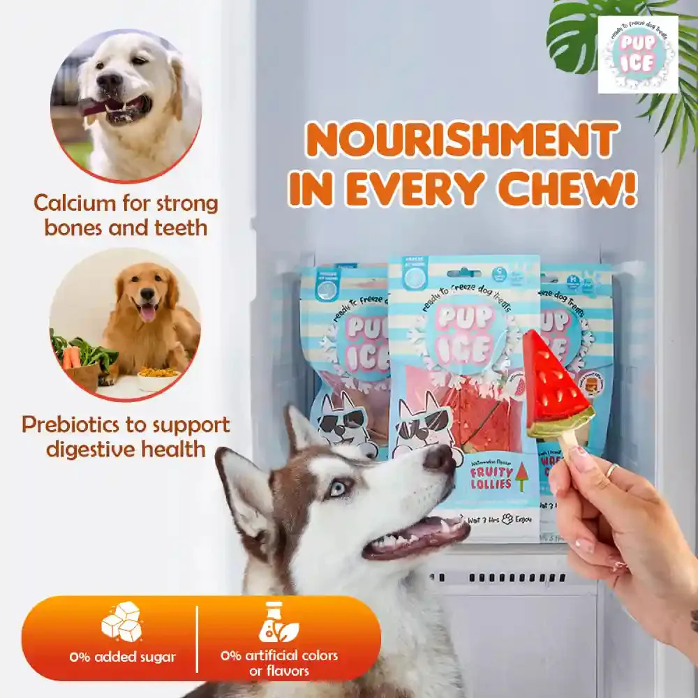 Pup Ice Watermelon Flavoured Fruity Lollies Dog Treat