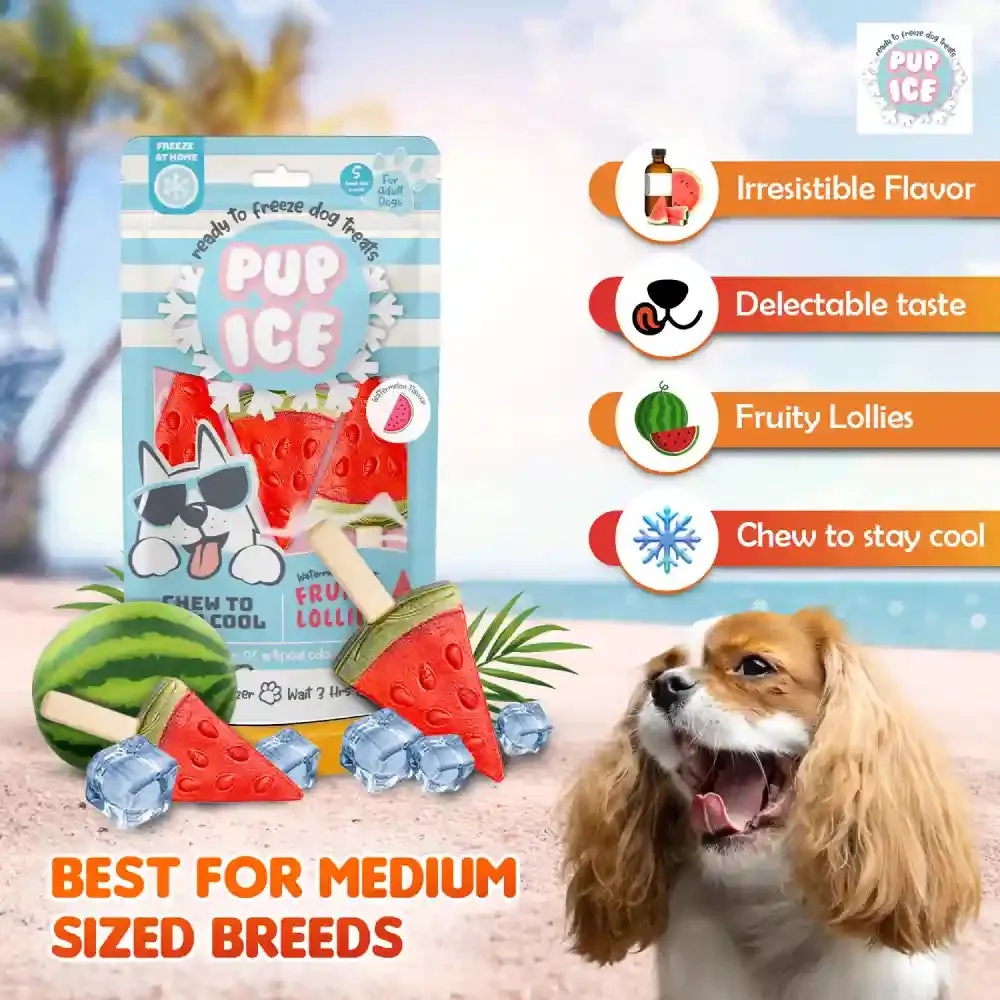 Pup Ice Watermelon Flavoured Fruity Lollies Dog Treat