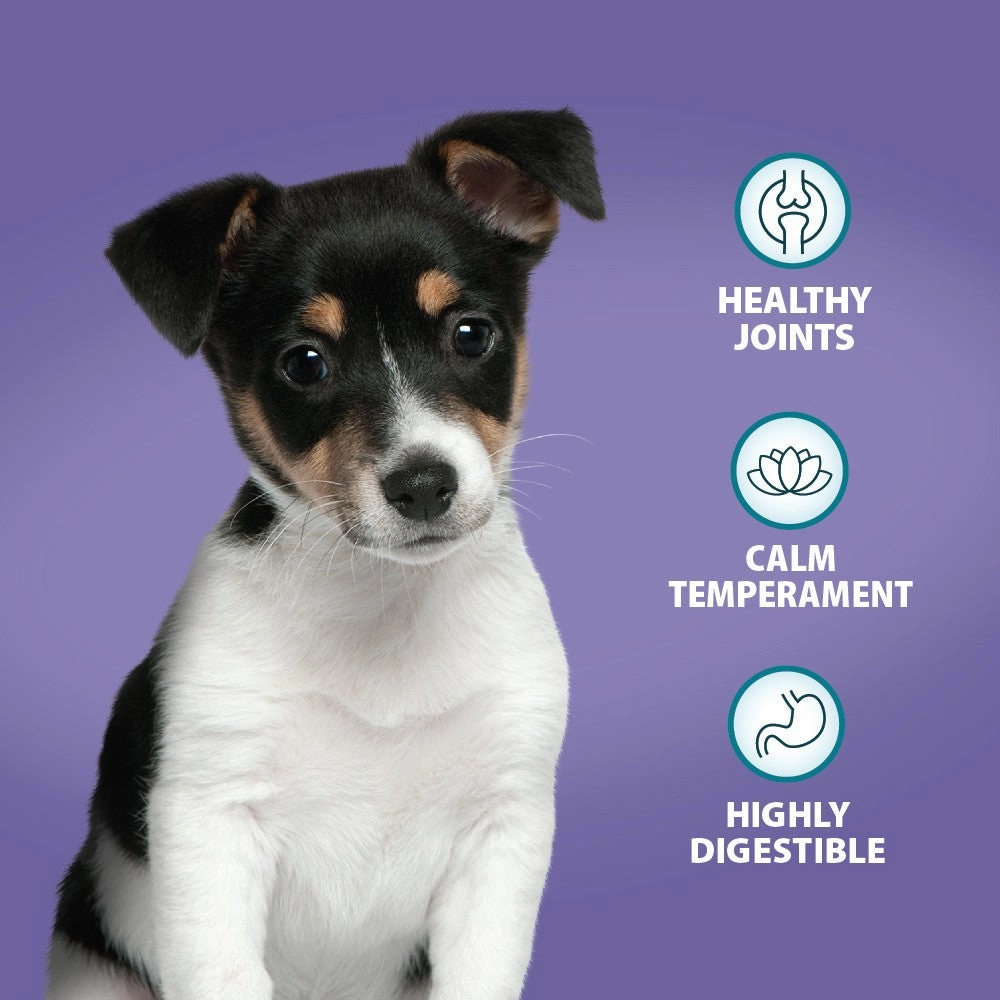 Puppy Original Lamb & Rice Dog Dry Food