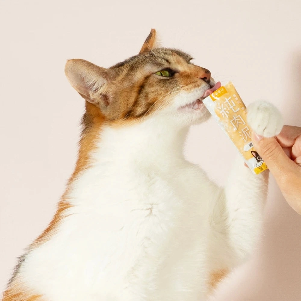 Pure Chicken Dogs & Cats Mousse