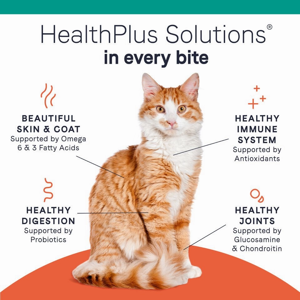PURE Grain Free Cat Dry Food - Salmon