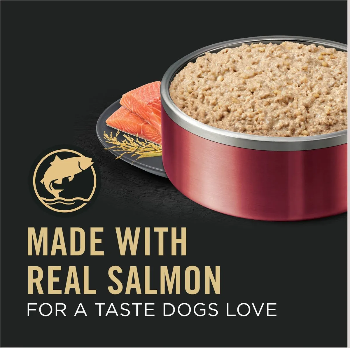Purina Pro Plan Sensitive Skin & Stomach Salmon & Rice Entre Canned Dog Food