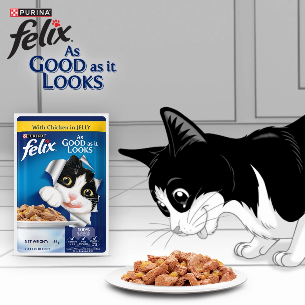 Purina Felix Chicken Jelly Adult Wet Food, Smudges Tuna Jelly Kitten Wet Food, Smudges Flakes Shirasu Jelly Adult Wet Food Cats Combo