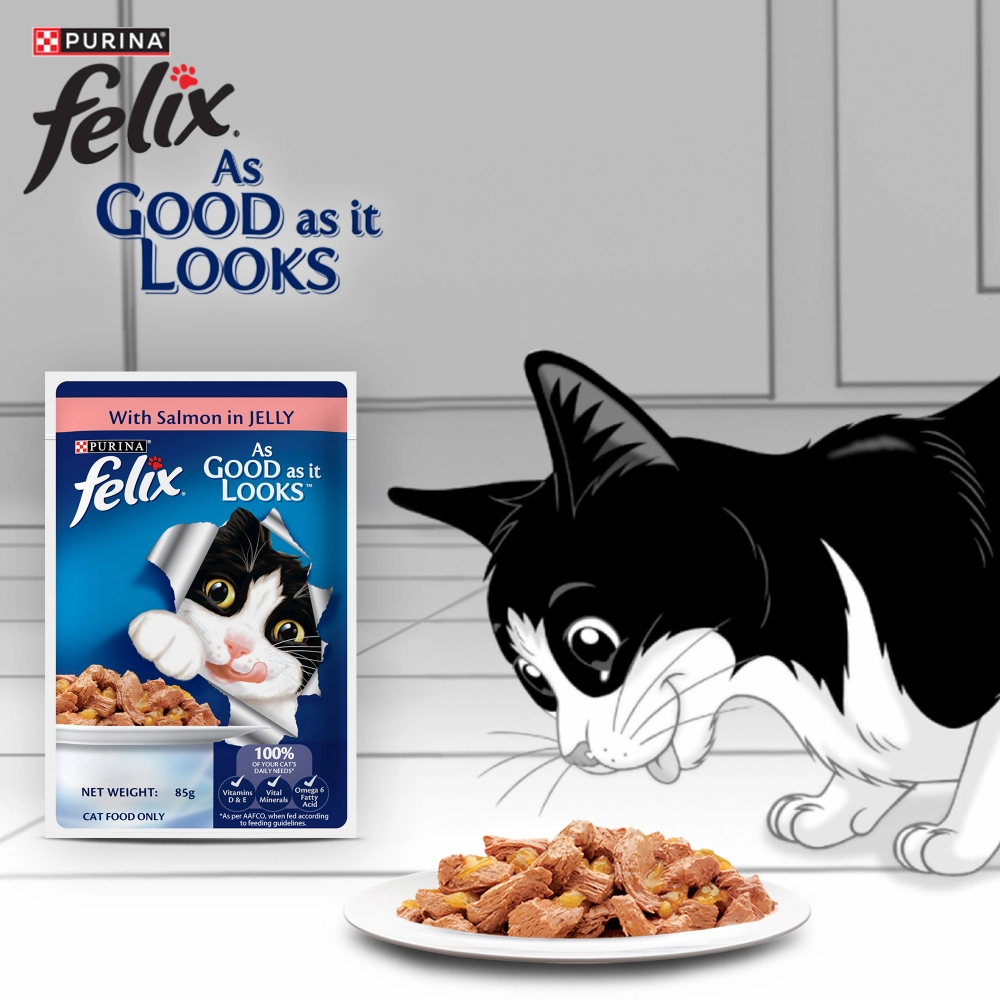 Purina Felix Salmon Jelly Adult Wet Food, Me O Creamy Chicken Liver Treats Cats Combo