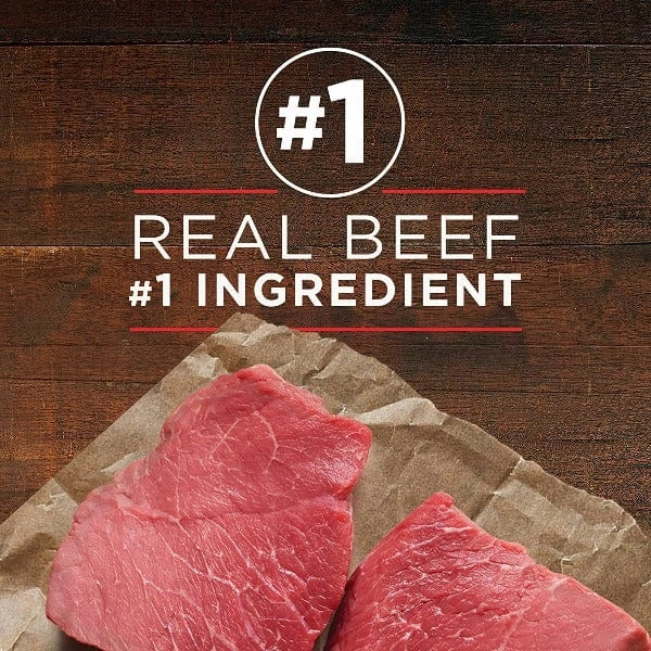 Purina ONE True Instinct with Beef & Salmon Canned Dog Food