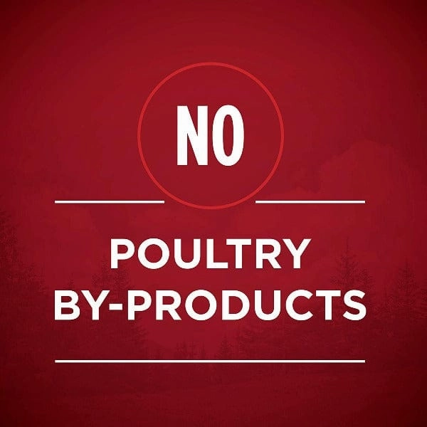 Purina ONE True Instinct with Beef & Salmon Canned Dog Food