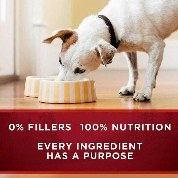 Purina ONE True Instinct with Beef & Salmon Canned Dog Food