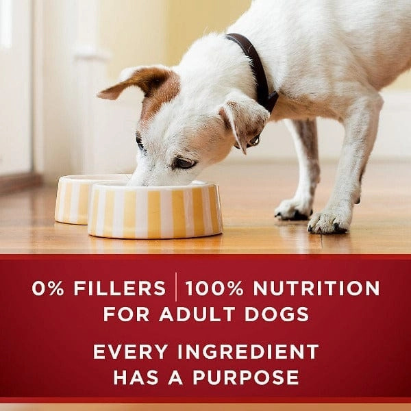 Purina ONE True Instinct with Turkey & Venison Canned Dog Food