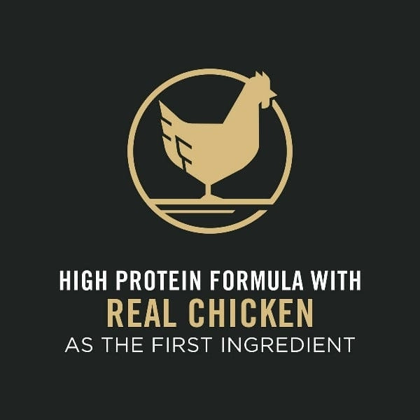 Purina Pro Plan Adult 7  Bright Mind Chicken & Rice Dry Dog Food, 16lb