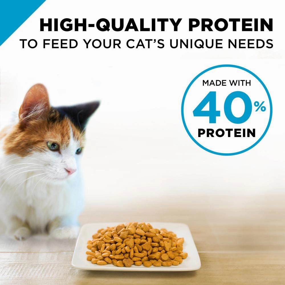 Purina Pro Plan Focus Adult Sensitive Skin & Stomach Lamb & Rice Formula Dry Cat Food