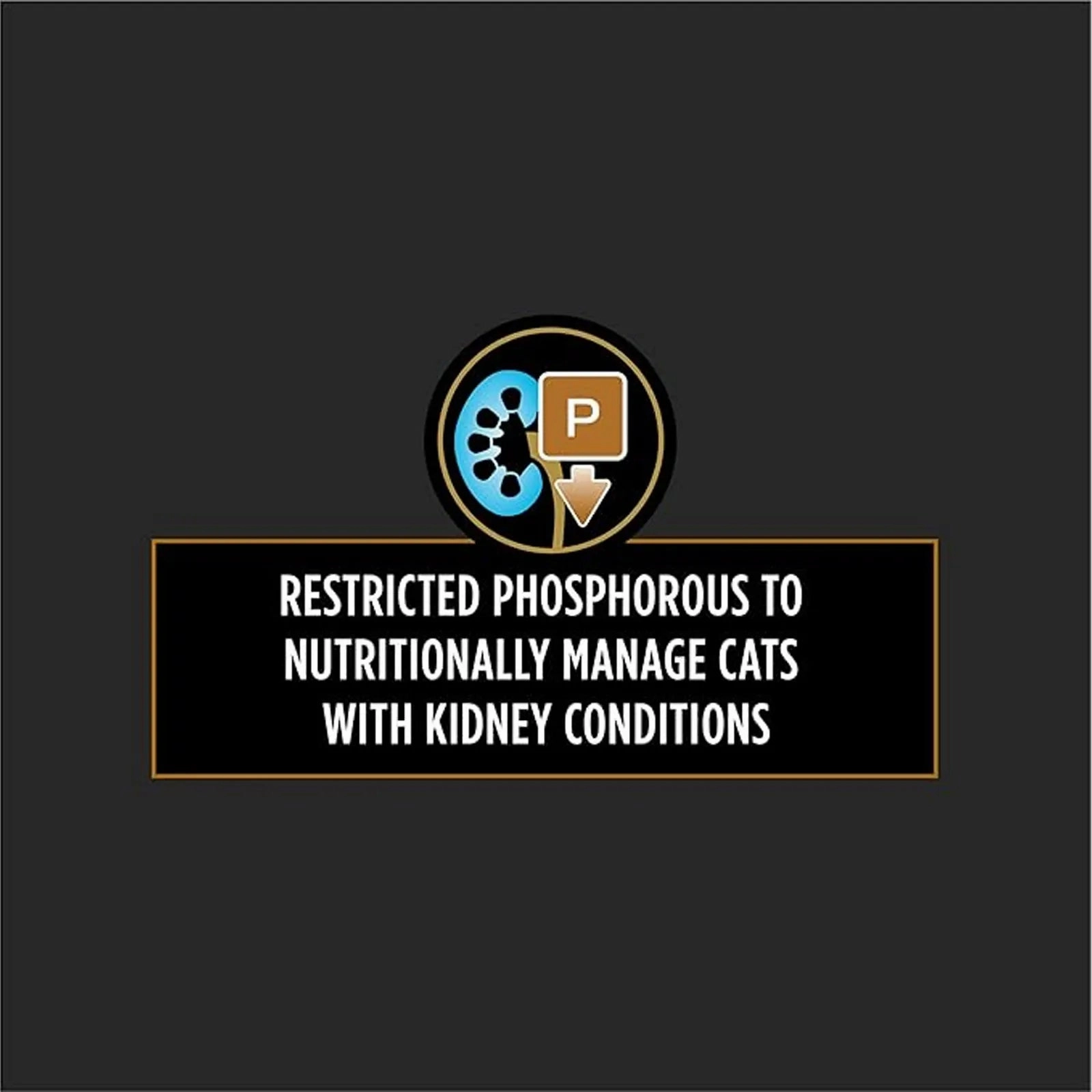 Purina Pro Plan Veterinary Diets - Feline NF Kidney Function Advanced Care 5.5oz