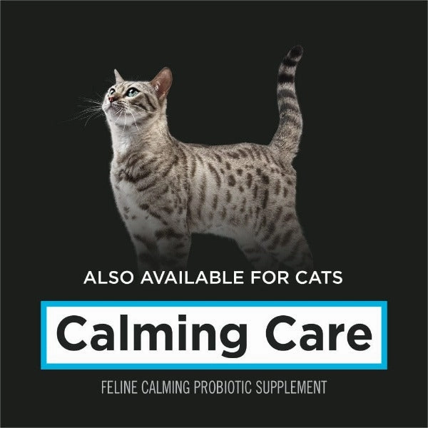 Purina Pro Plan Veterinary Supplements Calming Care: Powdered Calming Supplement for Dogs
