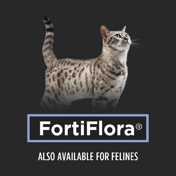 Purina Pro Plan Veterinary Supplements FortiFlora: Powdered Probiotic Supplements for Dogs