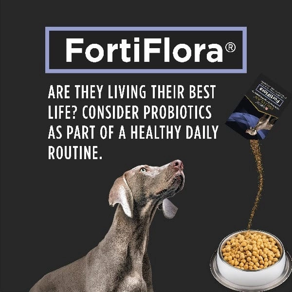 Purina Pro Plan Veterinary Supplements FortiFlora: Powdered Probiotic Supplements for Dogs