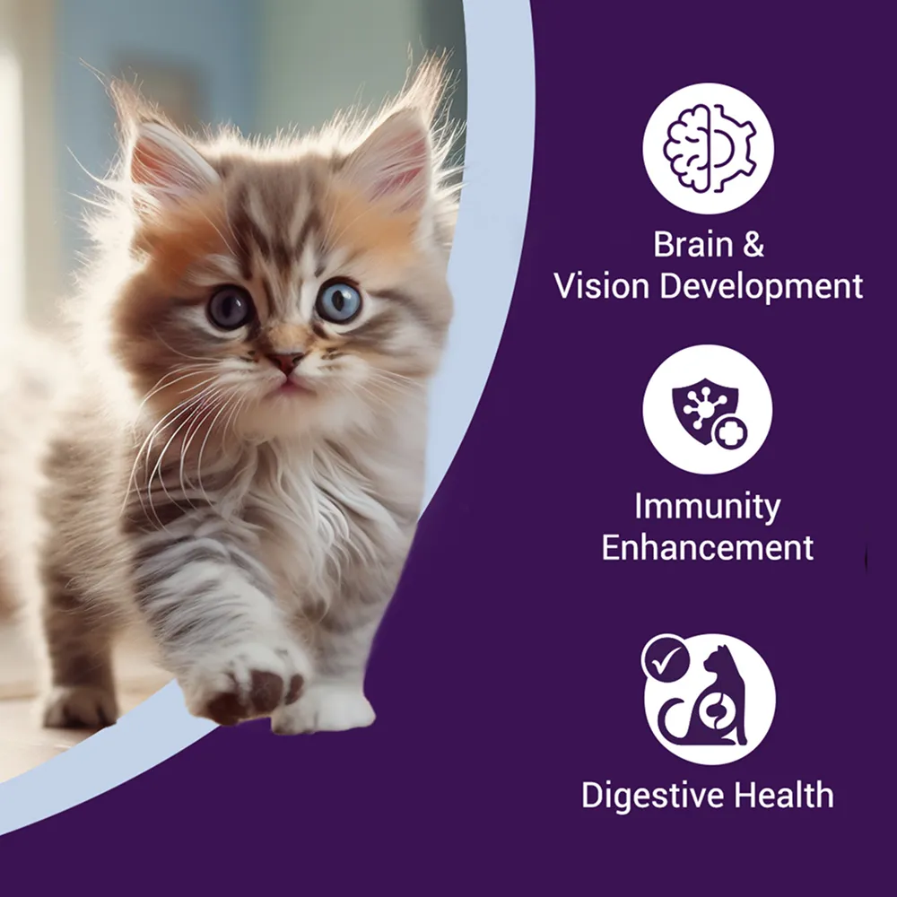 Purrfeto Chicken and Rice Kitten Cat Dry Food
