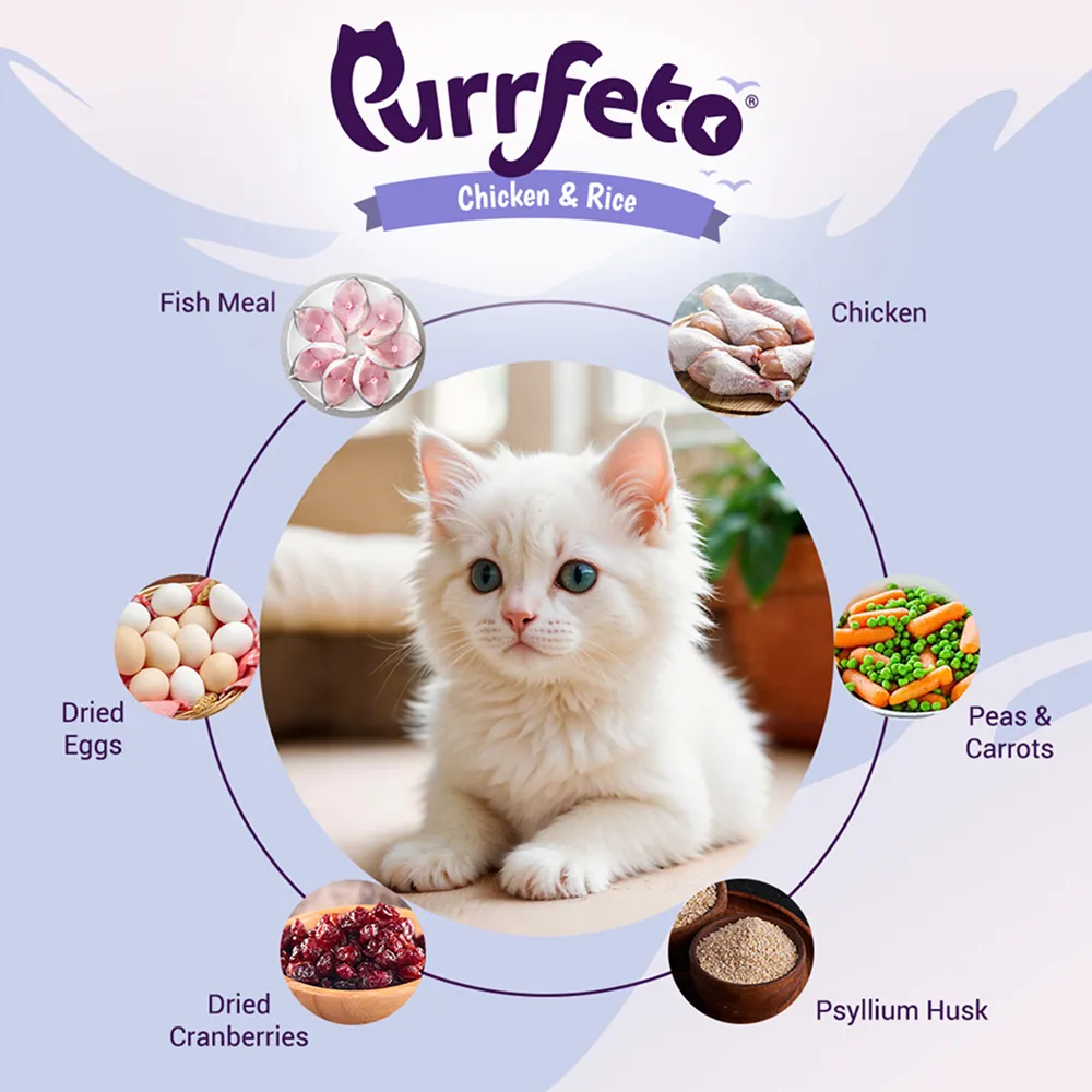 Purrfeto Chicken and Rice Kitten Cat Dry Food