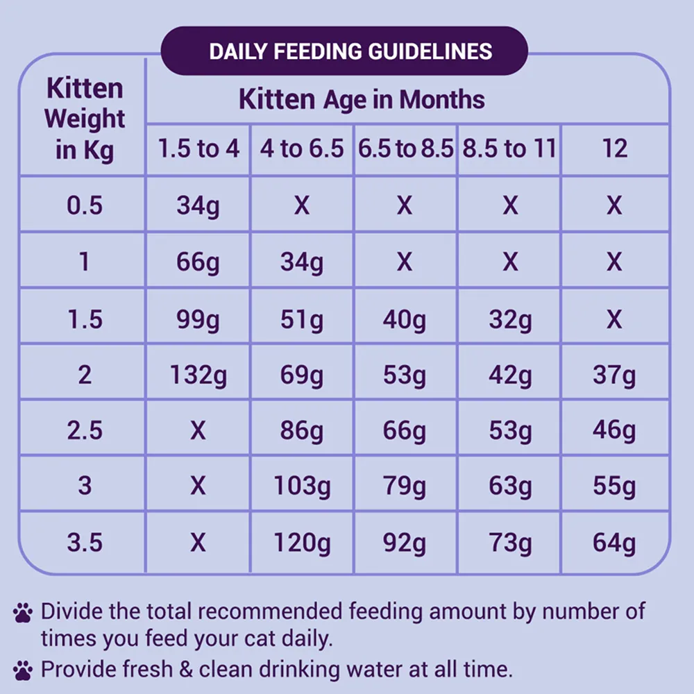 Purrfeto Chicken and Rice Kitten Cat Dry Food
